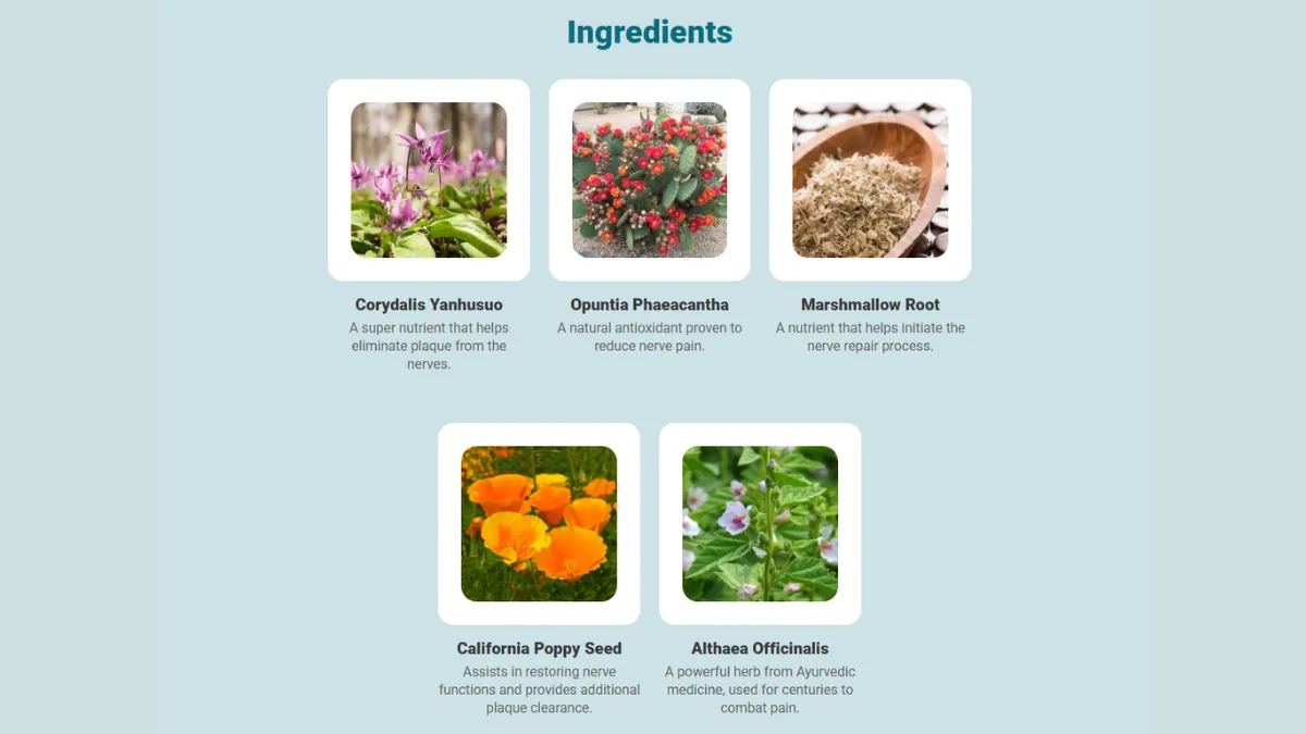 NerveCalm-Ingredients